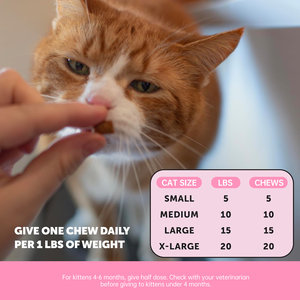 Hanyun gatto probiotico croccante e cremoso mastica il sollievo dalla stitichezza del gatto tratta integratore di salute digestiva per gatti con zucca - Product Image 4