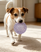 Juguetes Masticables para Perros de TPR Populares, Interactivos, Tamaño Mediano, para Uso en Interiores/Exteriores