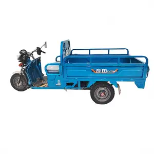 Factory Direct Sale Wheel Motorcycle Cargo Tricycle Wet Brick Carrier Electric Trike