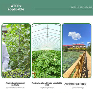 Medidor de clorofila, probador portátil de hoja verde con almacenamiento de datos y pantalla LCD para análisis de nutrientes vegetales - Product Image 6