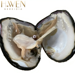 H.WEN Regali di Perle, Perle Rotonde 3A, Colori Misti, Varie Perle Naturali d'Acqua Dolce, Ostriche all'Ingrosso, Conchiglie Giganti di Ostrica - Product Image 2