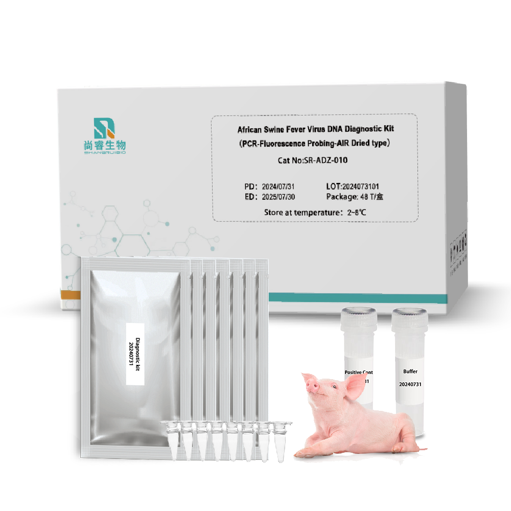 African Swine Fever Virus Rt Qpcr Diagnostic Kit ASFV Real-Time PCR Kit Dried Type Veterinary Instrument test Kits Manufacturer