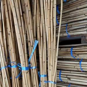 Best Selling CH GLOBAL High Quality Small-Scale Single Layer <b>Agricultural</b> <b>Greenhouses</b> Rattan Cane Material Furniture Natural - Product Image 2