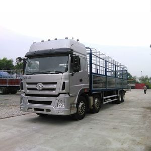 Dreiring-Schwerlast-Langchassis-LKW 12-Rad-LKW Preis - Product Image 6