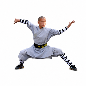 Uniforme traditionnel chinois de Kung Fu Shaolin et tenue de Taiji Wushu - Matière CVC, couleur/taille personnalisable, marque HUA <span class=keywords><strong>WU</strong></span> - Product Image 6