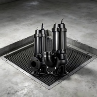 Bomba Sumergible para Aguas Residuales WQ 5HP SS304, 50m de Altura de Elevación, 100L/min, DN50, con Brida, Bomba Industrial para Aguas Residuales, OEM, Eficiente Energéticamente