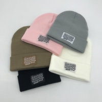 Unisex Custom Winter Beanie Hoed Met 3d Geborduurd Cartoon Patroon Meerdere Kleuren Outdoor Kleding En Warmte-Voeg Uw Ontwerp!