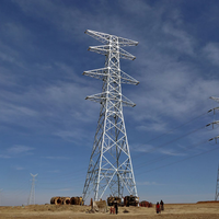 Pylône de transmission en treillis d'acier de type suspension, standardisé 110kV-220kV, pour environnements difficiles, projets électriques, ISO/CE