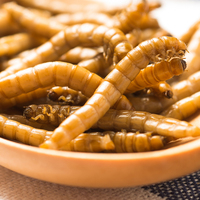 Aliments en forme de larve séchés pour animaux, lot de 25, insectes comestibles, ver ou méduse jaune