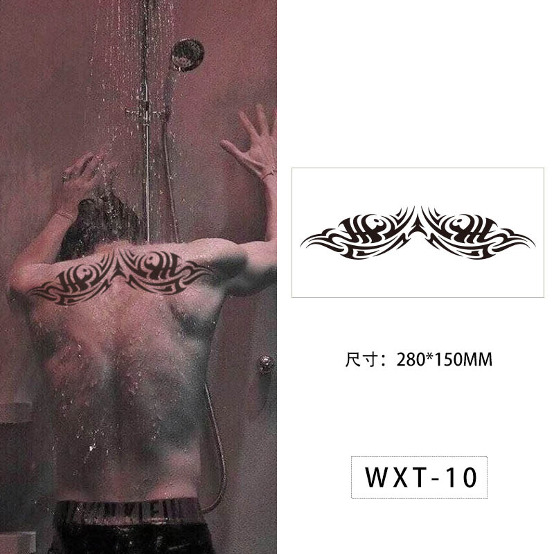 WXT-010    ดับบลิวเอ็กซ์ที-010