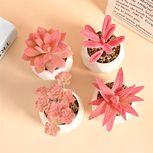 Piante Artificiali in Vaso di Plastica Serie <span class=keywords><strong>Rosa</strong></span>, Bonsai Succulente Artificiali, Decorazione Paesaggistica in Miniatura - Product Image 3