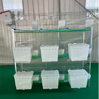 Cage à lapins personnalisable à 9 compartiments avec fil galvanisé à chaud pour l'élevage de lapins bébés