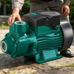 Pompe à <span class=keywords><strong>eau</strong></span> périphérique auto-amorçante à basse pression de gros volume 0,37 kW 370 W pour la circulation <span class=keywords><strong>d</strong></span>'<span class=keywords><strong>eau</strong></span> domestique - Product Image 3