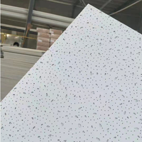 WLX Carreau de plafond carré en fibre minérale blanche bon marché au design moderne imperméable et ignifuge avec style artistique