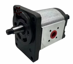 ปั๊มเกียร์ซีรีส์ PLM PLP PLP30 PLP20 PLP10 รุ่น PLM20.11.2S5-48E2 สำหรับรถบดถนน รถขุด รับประกัน 1 ปี ผลิตที่ฝูเจี้ยน ประเทศจีน - Product Image 4