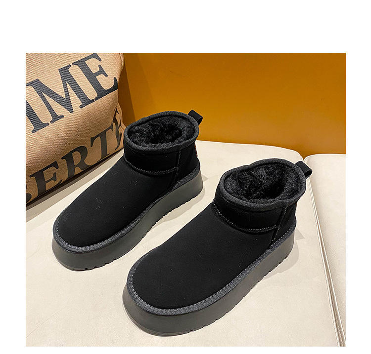 Antilope marron 5854-fond fin