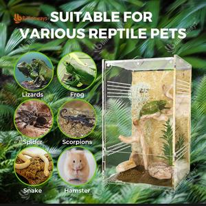 Jaula de <span class=keywords><strong>tarántula</strong></span> arbórea acrílica personalizada, tapa deslizante de terrario, tanque de cría de reptiles, caja de isópodos para vista completa visualmente atractiva - Product Image 5