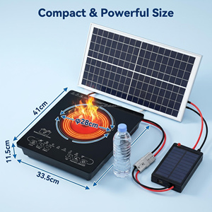 24V/48V Portable Single Burner Off-Grid Induction Cooker/<b>Stove</b> Touch Control Waterproof Battery Power for Car Household Use 2100 - Product Image 2