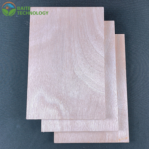 Panneau multicouche de qualité E0 pour meubles, 3-30 mm, panneau stratifié plat pur, noyau en peuplier/eucalyptus, panneau pour meubles, panneau en placage de bois - Product Image 2