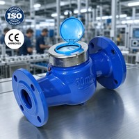 Medidor de Agua de Gran Diámetro DN200, Precio Competitivo, Duradero, Certificado MID, OEM, para Suministro de Agua Municipal y Proyectos a Gran Escala