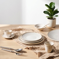 Service de vaisselle en céramique et porcelaine blanc élégant ST Color Glaze, assiettes et plats ronds, bols, résistant à la décoloration, idéal pour les cafés