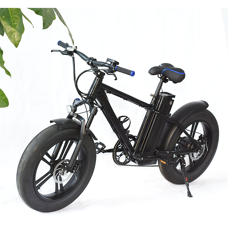 electrical bicycle controller zk2400 24V for Razor E100 Scooter - Control Module with 7 Connectors (4 Pin Throttle) for Razor E100, E125 (V10+), E150, E175 (V18+) and language of product PEDELEC ebike Electric bicycle in delhi Color:Beam