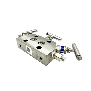 Nuevo y Popular Grupo de Tres Válvulas EJA3051, Válvula Transmisora Integrada, Válvula de Globo para Soldar, Compatible con Rosemount, Sin Reseñas Aún, 1 Vendido - Product Image 3