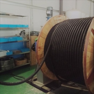 <span class=keywords><strong>MMO</strong></span> Ti Hỗn Hợp Kim Loại Oxit Tuyến Tính Cực Dương Linh Hoạt <span class=keywords><strong>Mmo</strong></span> Ti Hỗn Hợp Kim Loại Oxit Tuyến Tính Cực Dương Cho Cực Âm Bảo Vệ - Product Image 2