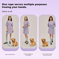 Nouvelle conception de laisse pour chien mains libres de luxe, longueur réglable, laisse en polyester pour chiens de petite, moyenne et grande taille