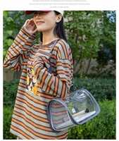 Sac de transport portable personnalisé pour oiseaux, léger et sécurisé, pour perroquets, pigeons et petits animaux, accessoires pour animaux de compagnie en plein air