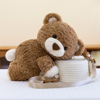 Sac à dos en peluche ours mignon, coton PP, doublure en maille super douce, confortable, style urbain unisexe, très populaire auprès des influenceurs