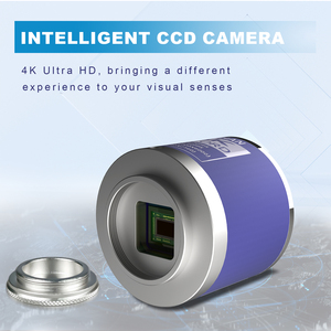 YIZHAN 215x4K microscopio didattico macchina fotografica 48MP <span class=keywords><strong>HDMI</strong></span>/uscita USB-C registrazione Video regolabile in metallo Stand per aula stelo Demo - Product Image 3