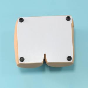 Modèle de soins infirmiers pour personnes âgées BIX-H10 en PVC pour les escarres, pour la formation scientifique médicale dans les écoles et les hôpitaux - Product Image 4