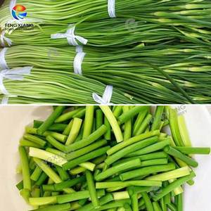 Lechuga vegetal de gran salida, cebolla verde, cebollino, col rizada, espárragos, ajo, máquina <span class=keywords><strong>para</strong></span> cortar - Product Image 5