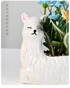 Maceta Grande de Cerámica Esmaltada con Diseño de Alpaca, Estilo Nórdico, para Suculentas (<span class=keywords><strong>Planta</strong></span> No Incluida), Ecológica, Juego de 2 Piezas - Product Image 5