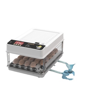 Mini incubateur pour poussins 15 œufs machine <span class=keywords><strong>à</strong></span> couver prix bon marché <span class=keywords><strong>à</strong></span> <span class=keywords><strong>vendre</strong></span> - Product Image 2