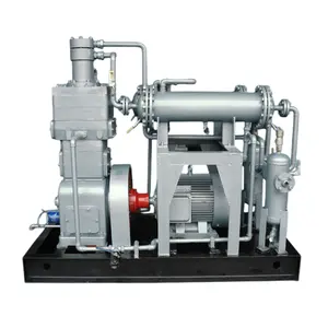 Compressor de ar mais vendido para uso doméstico, 300Bar, 3 HP, 40 HP, gás liquefeito de petróleo, 3000 psi