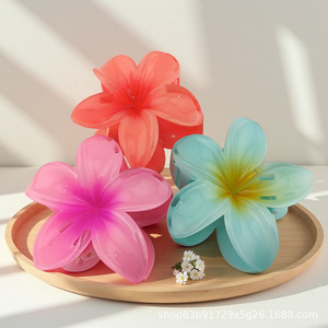 Women's <strong>Custom</strong> Floral Hair Claw Sweet Colorful Resin Flower Hair <strong>Clip</strong> for Daily Styling - Product Image 1