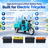 Batterie au lithium LiFePO4 60V 120Ah pour rickshaw électrique, tuk-tuk, tricycle, installation facile, pack de batterie puissant, BMS, plug and play