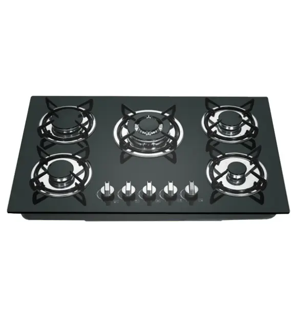 professional manufacturer camping stove reasonable price 5 burner gas cooker various specifications gas stove