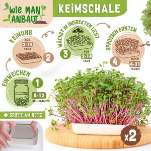 Kit de Cultivo Orgánico Zengreens Incluye 1-3 Bandejas de Germinación de Vidrio, Guía de 50 Páginas, 10 Bandejas de Vivero en Línea de Acero - Product Image 4
