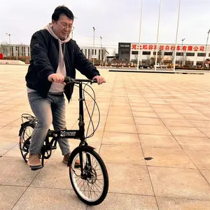 Bicicletta pieghevole da 29 pollici in acciaio al carbonio con telaio bicicleta doppio bici freno