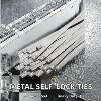 Attaches-câbles en acier inoxydable 304 CHCC 4.6*250, autobloquantes à boule, résistantes aux UV, pour distributeurs en gros
