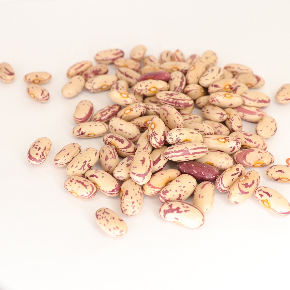 Wholesale Dry Sugar Beans High Quality Low Prices