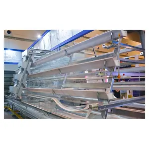 Lange Levensduur Zink Aluminium Draad A-Type Laag Apparatuur Kippenfokkooi Kippenhok
