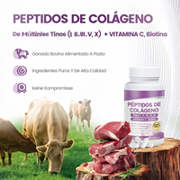 Capsules de collagène multi-types I, II, III, V, X avec vitamine C et biotine pour la peau, les cheveux, les ongles et le soutien des articulations – Marque privée