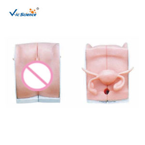 Model alat kontrasepsi perempuan canggih - Product Image 1