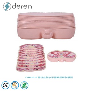 Modelo de Sección de Cabeza de Tamaño Real en PVC y Silicona Suave para Ciencias Médicas y Ambientales, Modelo Educativo de <span class=keywords><strong>Anatomía</strong></span> <span class=keywords><strong>Seccional</strong></span> del Cerebro Humano - Product Image 3