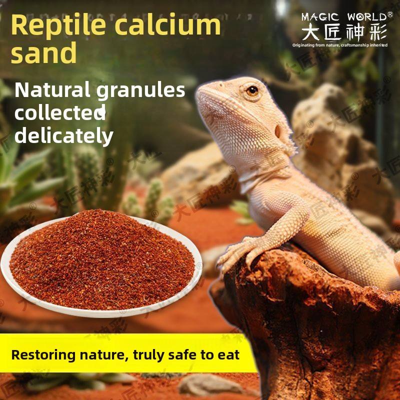 Crawling Pet Natural Calcium Sand Gecko Lizard Reptile Landscaping ...