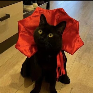 Cape de vampire pour chats, costume de cosplay en polyester rouge, vêtements pour animaux de compagnie - Product Image 5